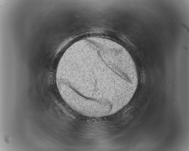 X0000102781208200809151055