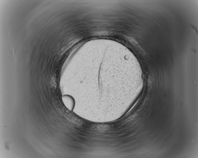 X0000102781209200809151055