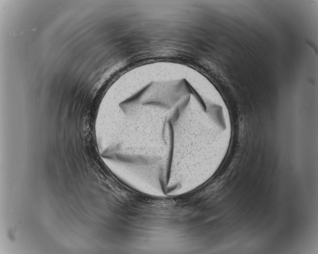 X0000102781210200809151055