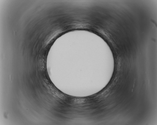 X0000102781211200809151055