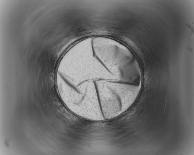 X0000102781212200809151055