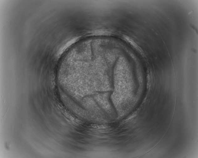 X0000102781213200809151055