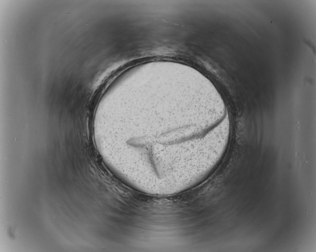 X0000102781214200809151055