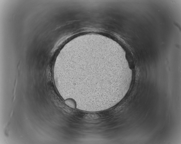 X0000102781215200809151055