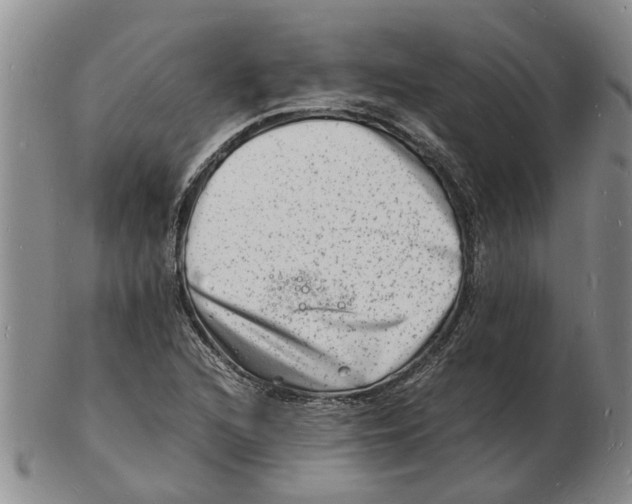 X0000102781216200809151055