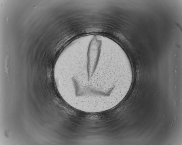 X0000102781217200809151055