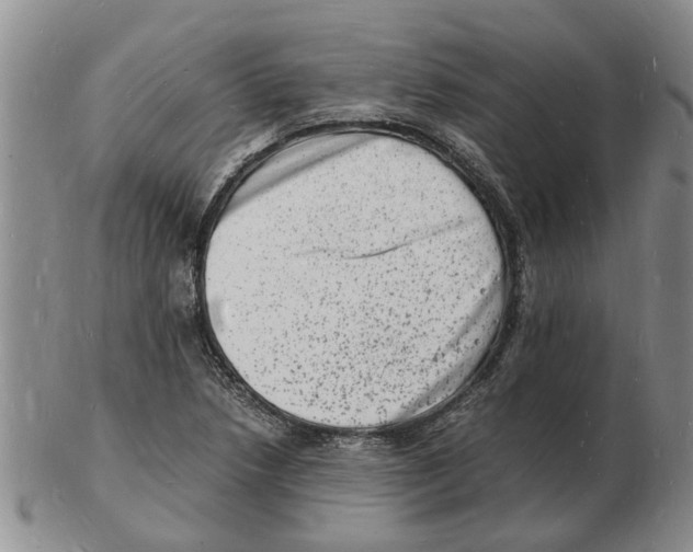 X0000102781218200809151055