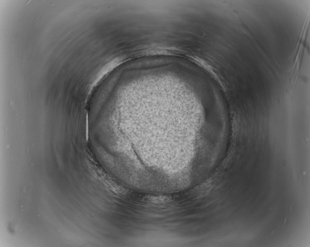 X0000102781219200809151055