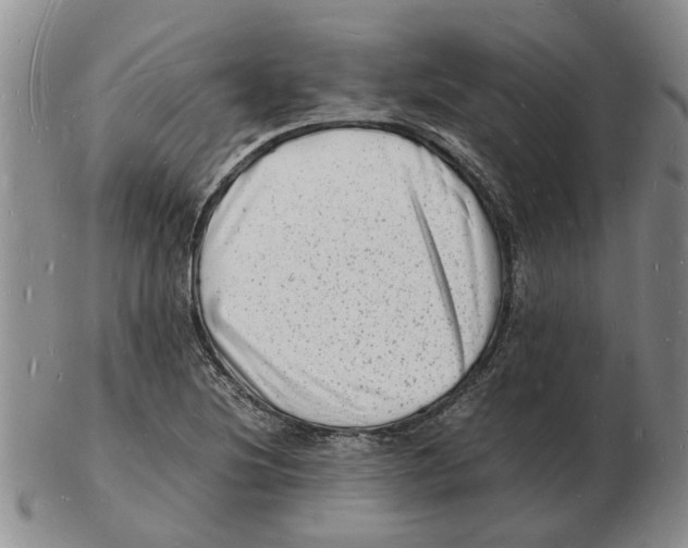 X0000102781220200809151055