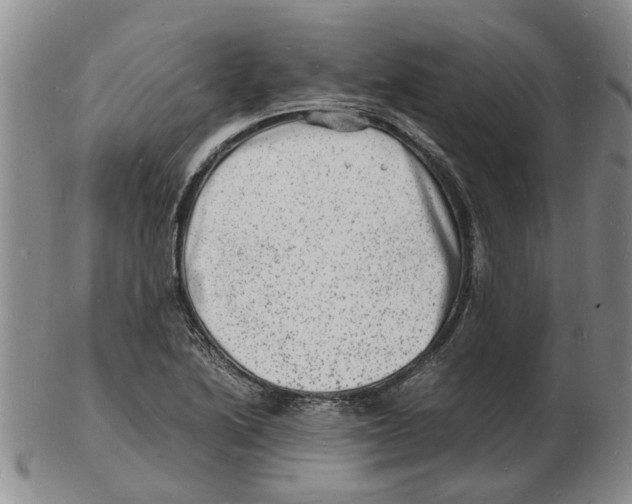 X0000102781222200809151055