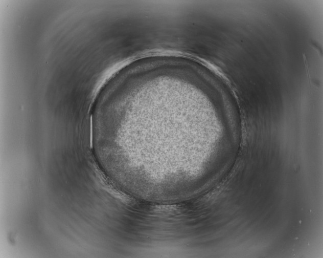 X0000102781223200809151055