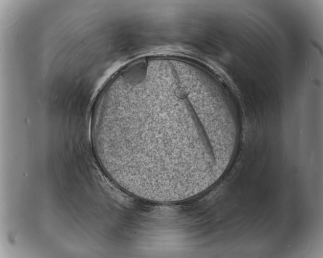 X0000102781224200809151055