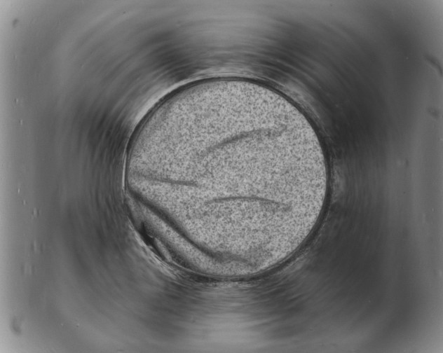 X0000102781228200809151055