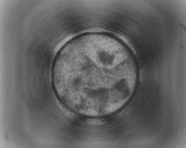 X0000102781229200809151055