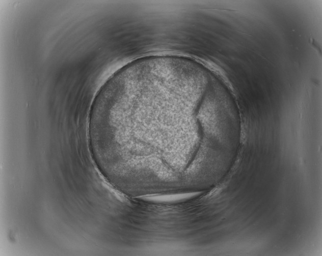 X0000102781231200809151055