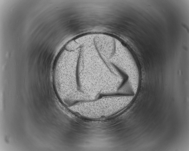 X0000102781232200809151055