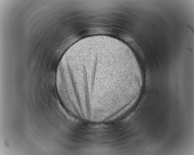 X0000102781233200809151055