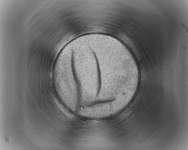 X0000102781234200809151055