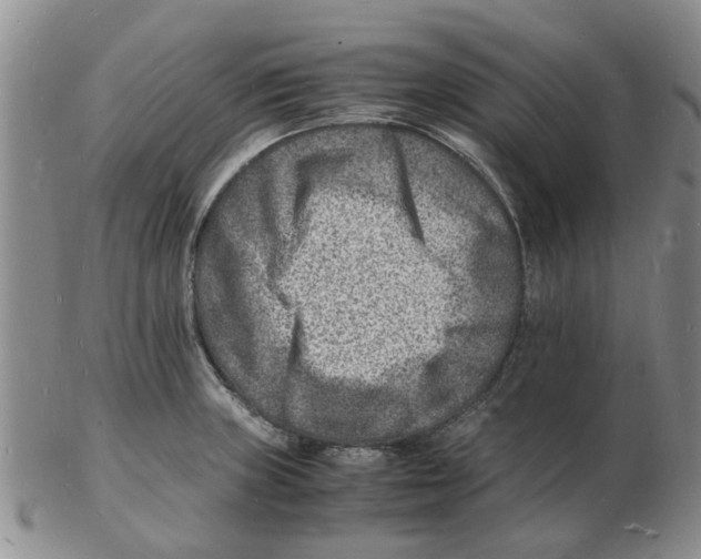 X0000102781235200809151055