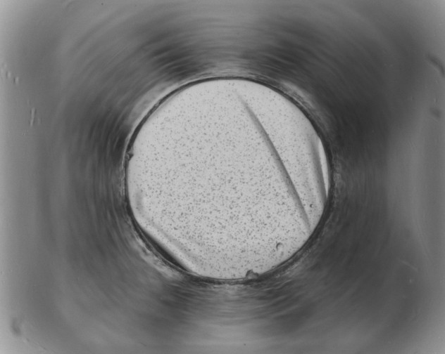 X0000102781236200809151055