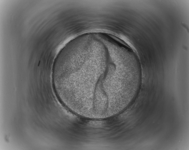 X0000102781237200809151055