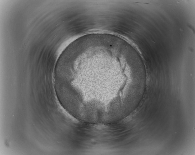 X0000102781239200809151055