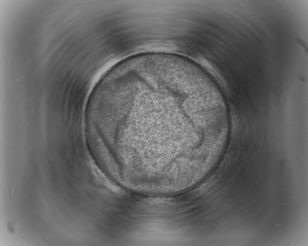 X0000102781240200809151055