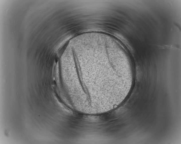 X0000102781241200809151055