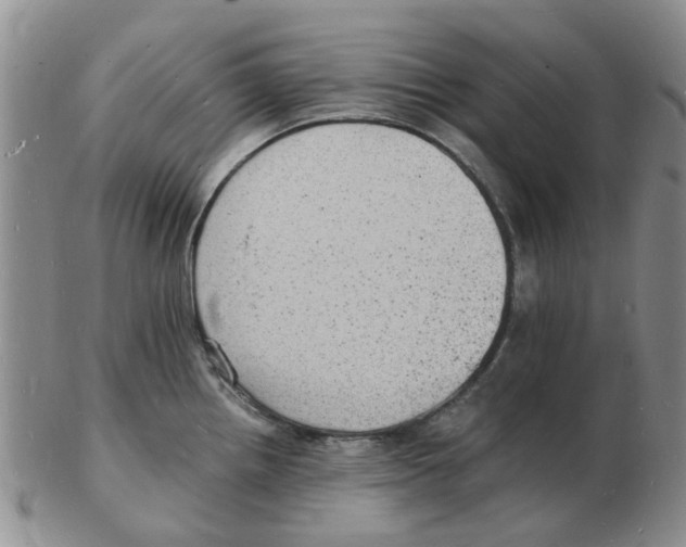 X0000102781242200809151055