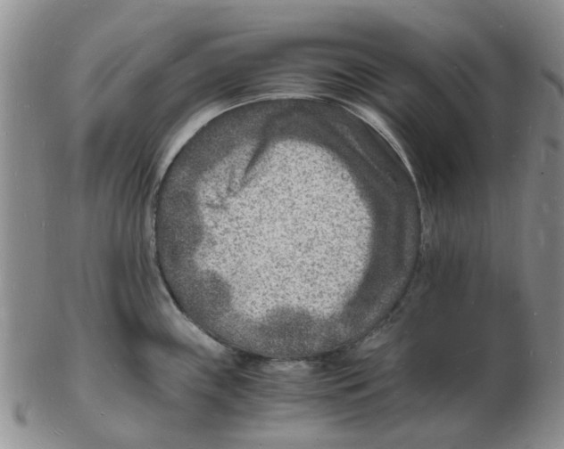 X0000102781243200809151055