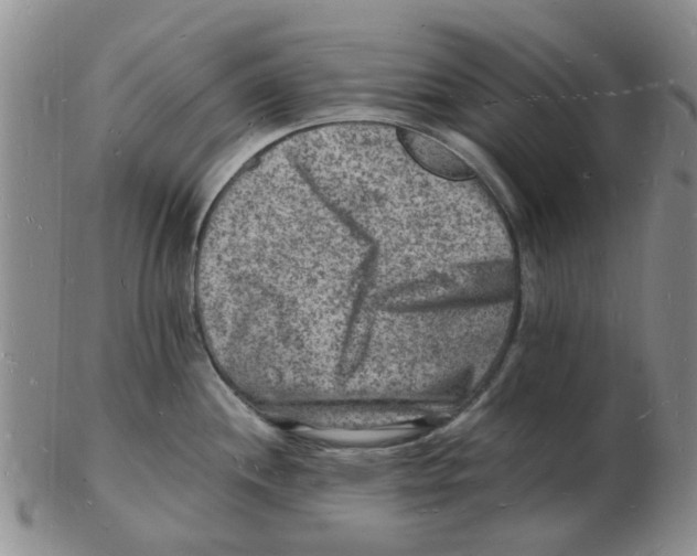 X0000102781244200809151055