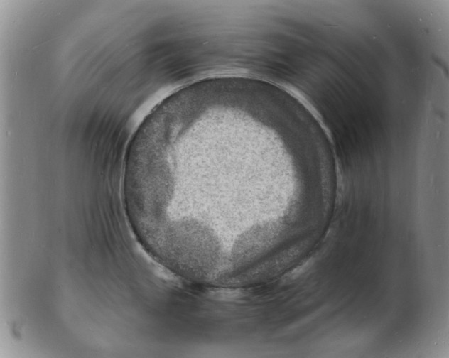 X0000102781245200809151055