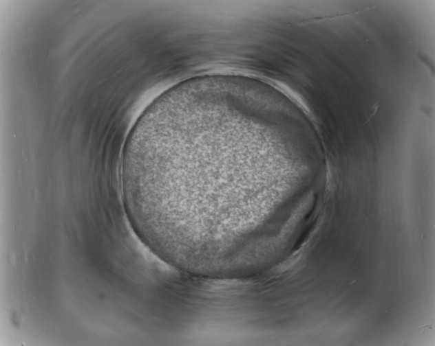 X0000102781247200809151055