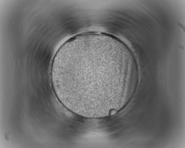 X0000102781248200809151055