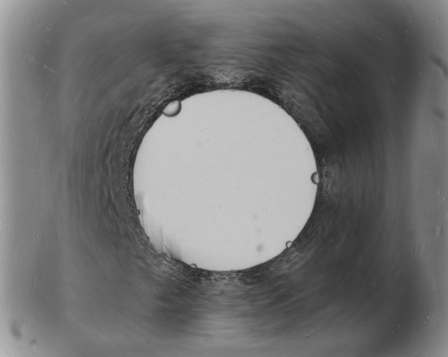 X0000102781249200809151055