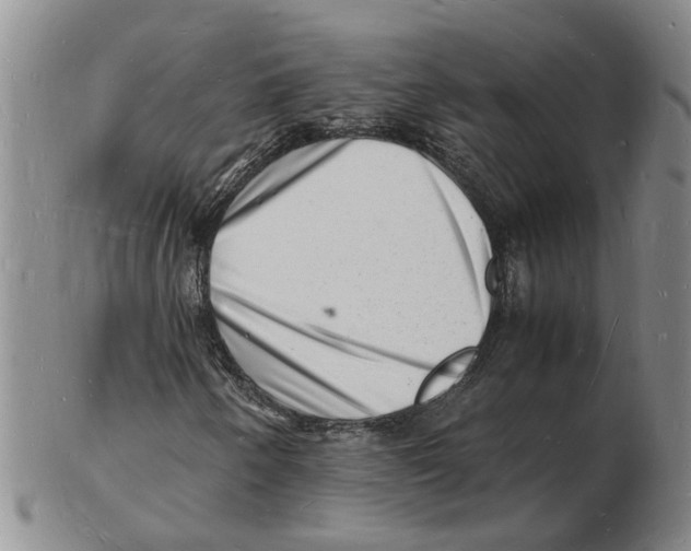 X0000102781250200809151055