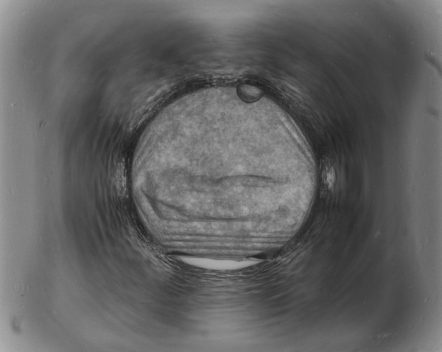 X0000102781252200809151055