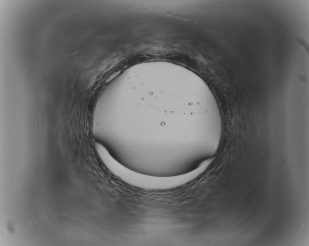 X0000102781253200809151055