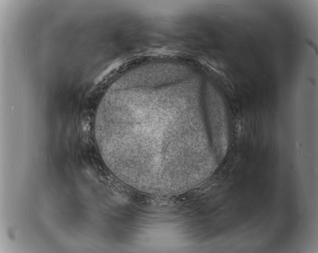 X0000102781254200809151055