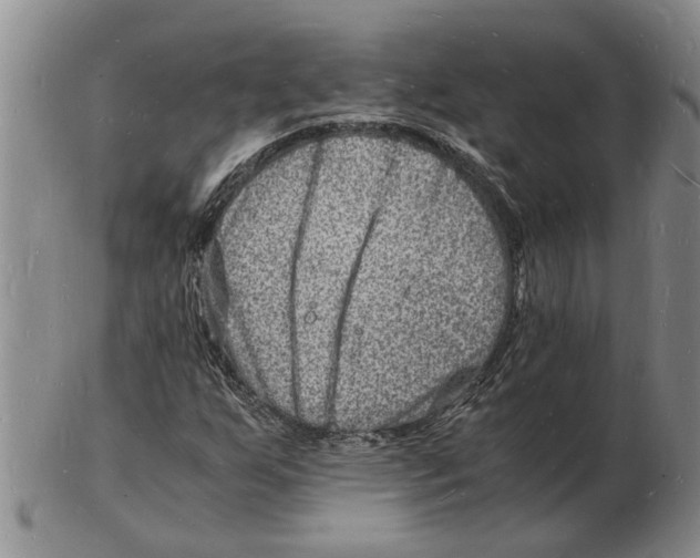 X0000102781255200809151055