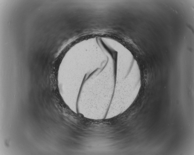 X0000102781256200809151055