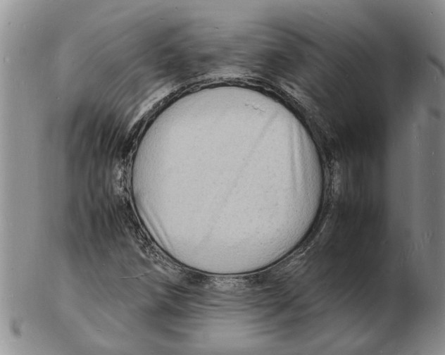 X0000102781258200809151055