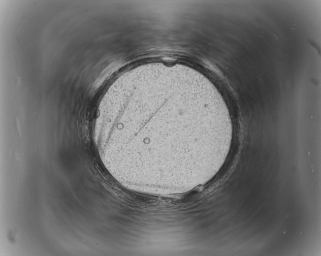 X0000102781259200809151055