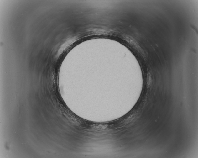 X0000102781261200809151054