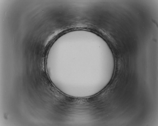 X0000102781262200809151054