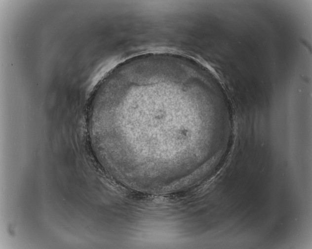 X0000102781263200809151054