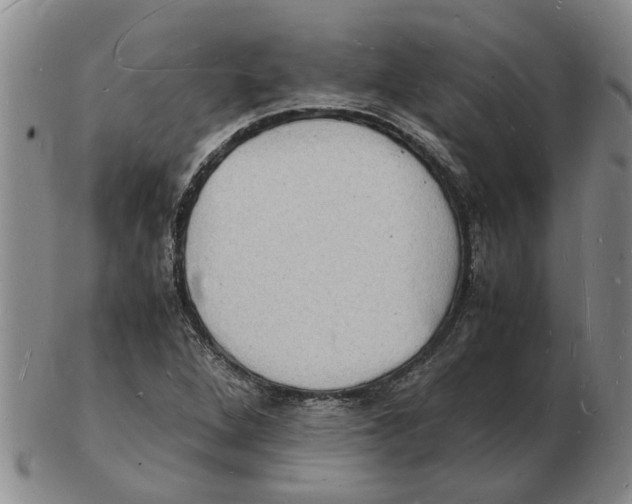 X0000102781264200809151054