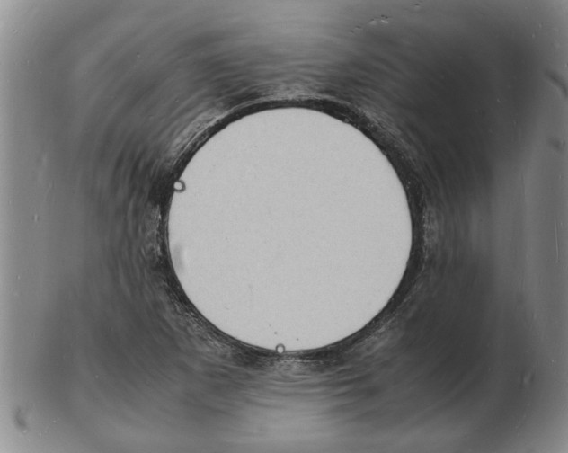 X0000102781265200809151054