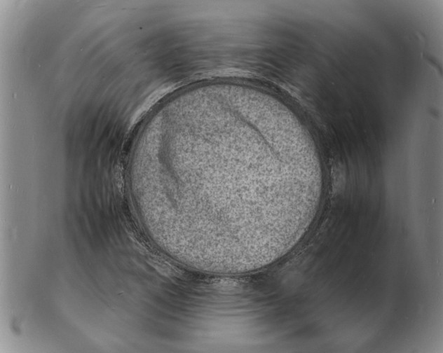 X0000102781266200809151054