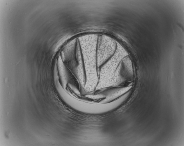 X0000102781267200809151054